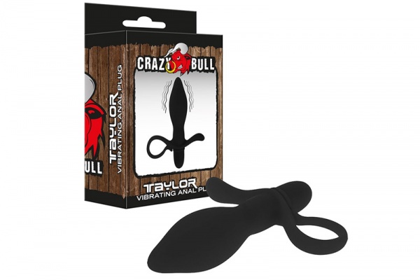 Recenze: Vibrační anální kolík Crazy Bull Taylor