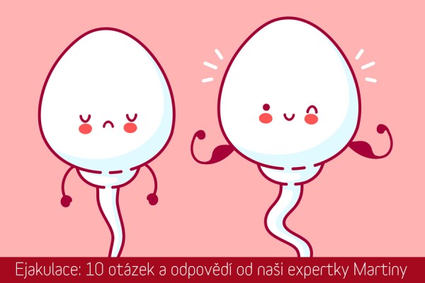 Hlavní obázek