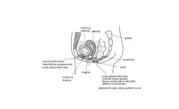 Venušiny kuličky pro posílení pánevního dna