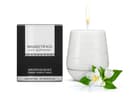 Afrodiziakální vonná svíčka 🕯️ Magnetifico Jasmine Romance
