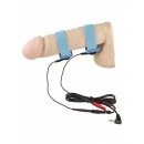 Elektro popruhy na penis Rimba flexible penis straps